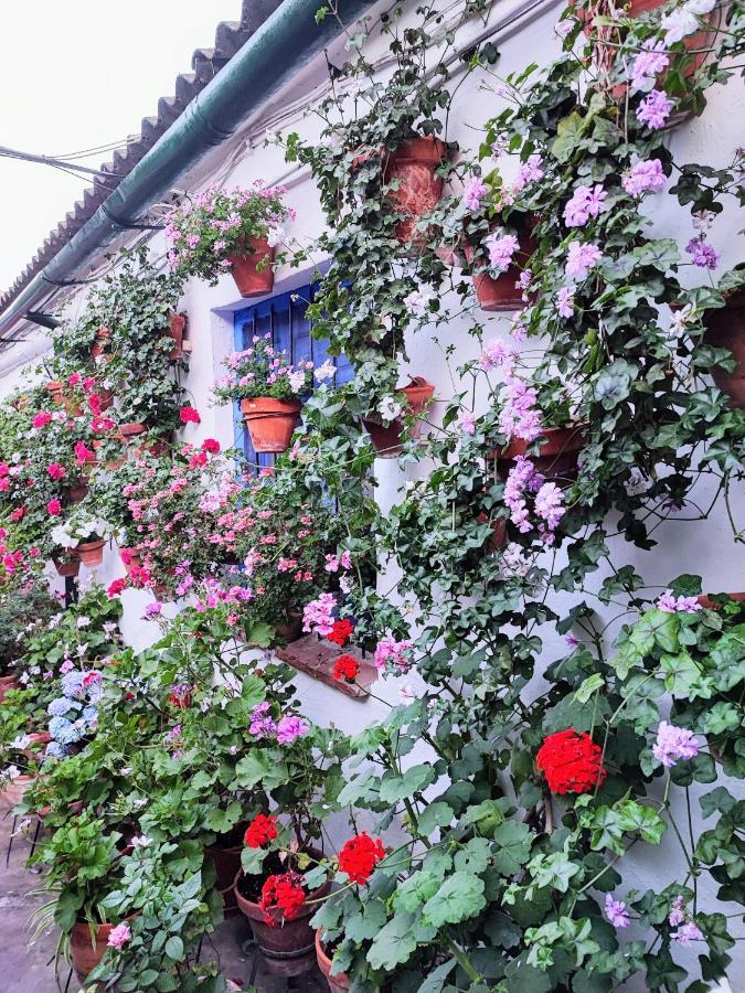Apartamento Alcazar San Basilio Kordoba Zewnętrze zdjęcie